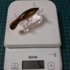 2025年最新】フライノーズシャッドの人気アイテム - メルカリ