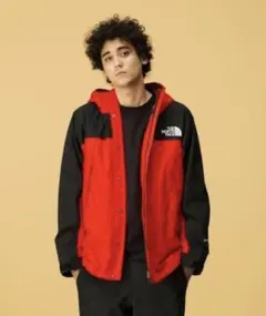 THE NORTH FACE マウンテンパーカー レッドブラック NP11834