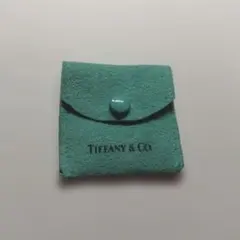 Tiffany & Co. グリーン スエードポーチ 5×5