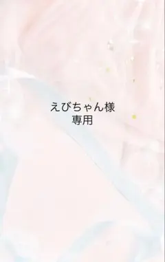 えびちゃん様専用ページ