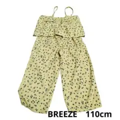 Item thumbnail for item e603d45c-4183-4847-b047-36b78a8844a8