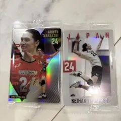 Item thumbnail for item 02f94545-a7a3-4d1d-b761-a28bfbf580df