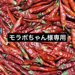 モラポちゃん様専用
