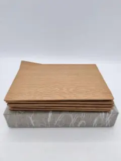 Item thumbnail for item 213e8ec7-cfa6-41d5-9475-717d7558f584