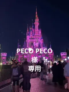 アートフレーム・フィギュアセット（美女と野獣キャラクター）