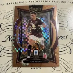 チェ アダムス Panini Select セリエA Copper 45枚限定