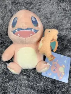 ポケモンセンター Little Daydream ヒトカゲとリザードン セット