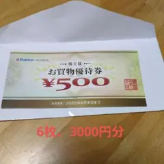 ヤマダホールディングス お買物優待券 6枚