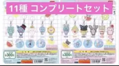 JOCHUM めじるしアクセサリー 11種セット フルコンプリート