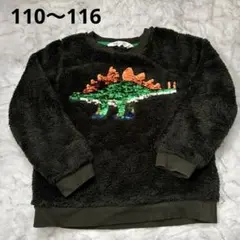 H&M 恐竜刺繍フリーストレーナー 110〜116