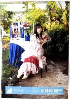 2026年最新】正源司陽子 生写真の人気アイテム - メルカリ