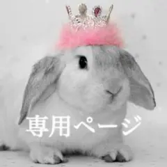 アナ雪♡タペストリー　撮影用背景　誕生日