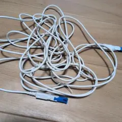 ホワイト RJ45 LANケーブル