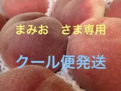 山梨一宮の甘い桃 特大6個詰めて発送 美味しいょ 見逃すと来年だょ