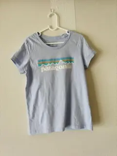 patagonia ロゴ半袖Tシャツ