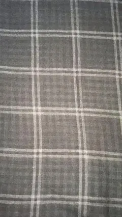 Item thumbnail for item 7c574b3b-e0ef-45dd-bd2d-3fba5989d629