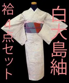 破格提供❗️【2点セット】一元式本場大島紬　手織り　ぜんまい紬新品名古屋帯 2025年最新】大島紬 帯 セットの人気アイテム - メルカリ