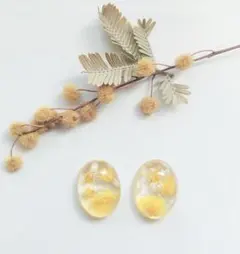 No.38 ドライフラワーレジンピアス　イヤリング