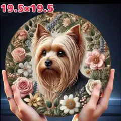 Item thumbnail for item 247ed14c-a461-4d8c-bcb8-7d28b7398ac5