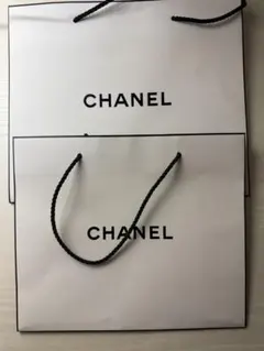 CHANEL ショップ袋 大小セット