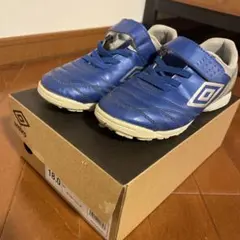 Item thumbnail for item d13c5ffe-b461-4e93-9c5d-499f6c8581dd