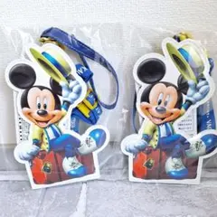 [新品/タグ付]ディズニーバケーションパッケージ チケットホルダー2個セット