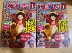 ワンピースマガジン 20号 本のみ ONE PIECE ジャンプ 2冊セット