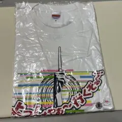 【未使用】AKB48 西武ドームコンサート Tシャツ Mサイズ