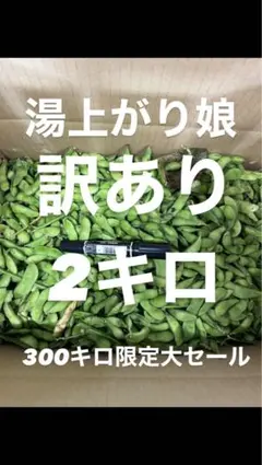 #65 300キロ限定大セール　訳あり品 枝豆 湯上がり娘　2キロ　有機肥料のサムネイル