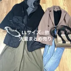 大きいサイズまとめ売り　1週間コーデ好き　アウター　トップス　L LL 3L