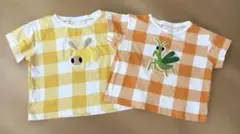 インセクトコレクション　Tシャツ　2枚セット　カマキリ　ハチのサムネイル
