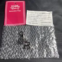 未使用品 ファスナーチャーム R ハート シルバーのサムネイル