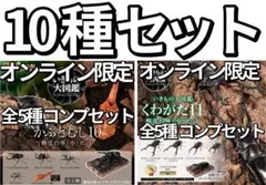 オンライン限定 かぶとむし10、くわがた11 樹皮台座（小）付き 10種セット