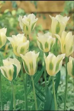 ゆりちゃん様 リクエスト 2点 まとめ商品