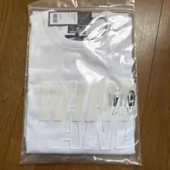 未使用品 入手困難 ヒステリックグラマー × ヴィンダンシー ロンＴ 白 M