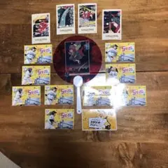 SoftBank Hawks ファンアイテム 13点セット