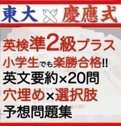 英検準2級プラス 2025年　過去問　問題集　予想問題　英文要約 英作文 旺文社