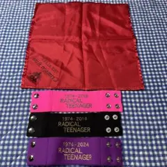 THE ALFEE RADICAL TEENAGERリストバンド Gallery | THE ALFEE Mobile