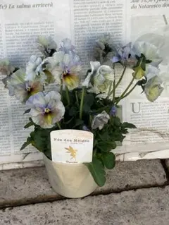 2026年最新】フェデネージュ ブルーの人気アイテム - メルカリ