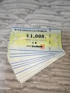 ビックカメラ(コジマ)株主優待券 10000円分