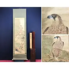 掛軸-1011 土岐頼芸 鷹図 印刷工芸作品 土岐の鷹 国盗り物語 - メルカリ