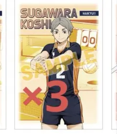 ハイキュー アニメイト特典 菅原孝支 3枚