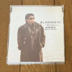 2025年最新】浜田省吾シングルの人気アイテム - メルカリ