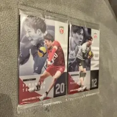 バレーボール日本代表 山本智大 高橋藍 カードセット