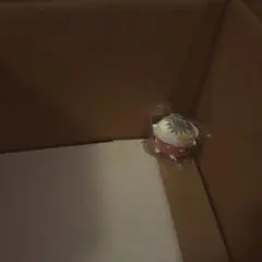 ハイキュー ぬいくじ くじメイトE賞 てのりんず 孤爪研磨