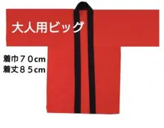 大人用法被ビッグ(綿)　無地　赤
