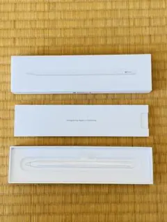 【ジャンク】Apple Pencil (第2世代) _過放電により充電不可