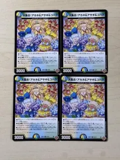 大集合 アカネ&アサギ&コハク