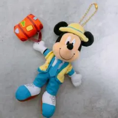 東京ディズニーリゾート ぬいぐるみ キーホルダー バケーションパッケージ バケパ