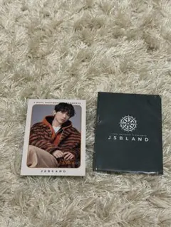 【24時間以内発送可能】NAOTO フォトカードJSBLAND